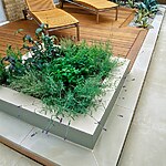 WOODEN TERRACE BESIDE HOUSE WITH TABLE AND CHAIRS PHYLLOSTACHYS VIVAX 'AUREOCALLIS' AND BOX. DESIGN : AMIR SCHLEZINGER/ MY LANDSCAPES-Sheet3
