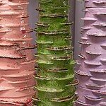 Ceramic Blossom by Masquespacio-Sheet4