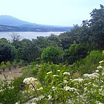 Lago Maggiore Garden by Mylandscapes LTD-Sheet5