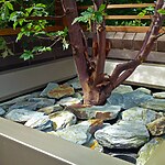 Highgate Roof Garden by Mylandscapes LTD-Sheet5