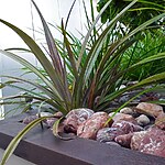 Chelsea Rooftop Terrace by Mylandscapes LTD-Sheet3