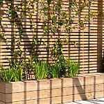Structuralist Garden by William Tozer Associates-Sheet2