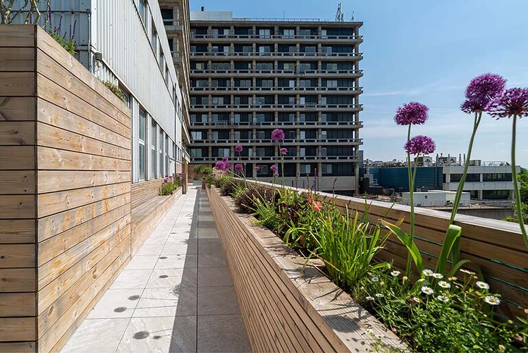Structuralist Garden by William Tozer Associates