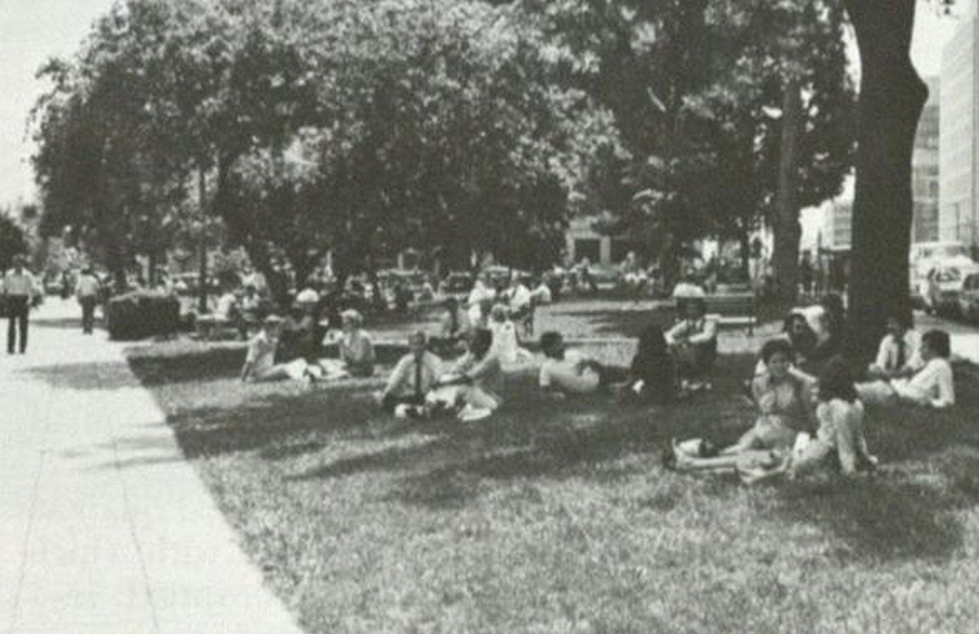 Book in Focus The Social Life of Small Urban Spaces by William H Whyte-Sheet6