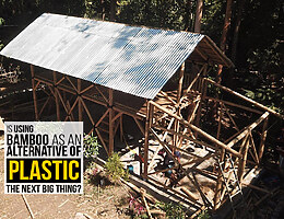 Is using bamboo as an alternative of platic the next big thing?