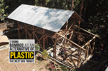 Is using bamboo as an alternative of platic the next big thing?
