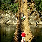 Is using bamboo as an alternative of platic the next big thing-Sheet3