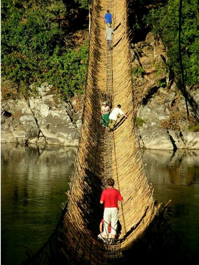 Is using bamboo as an alternative of platic the next big thing-Sheet3