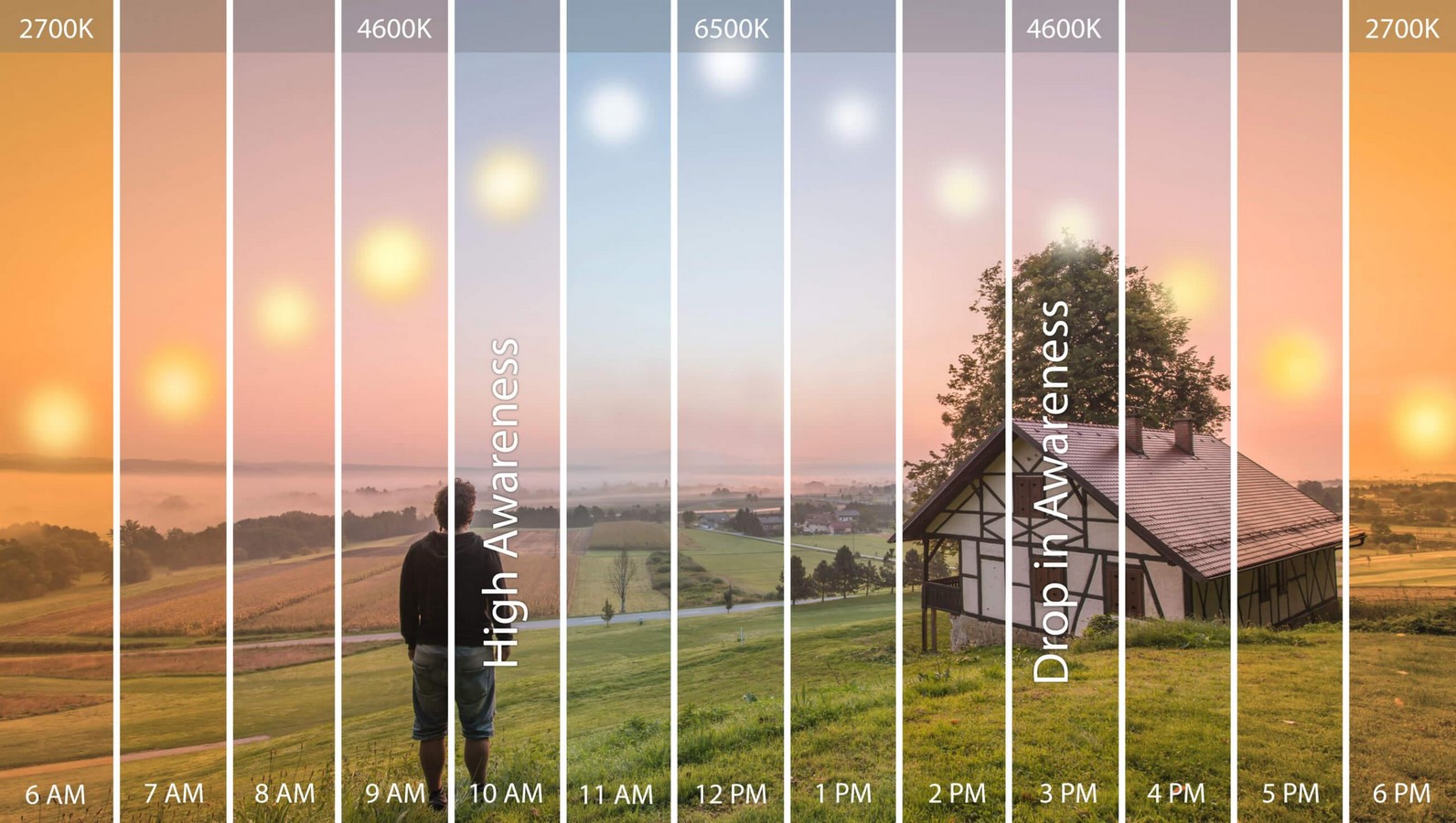 The Role of Lighting Design on Mood and Energy Levels-Sheet7