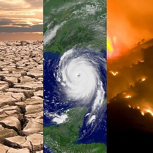 Designing for Climate Resilience - RTF | Rethinking The Future