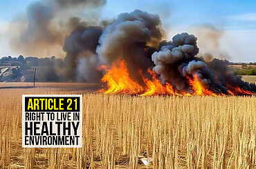 Article 21- Right to Live in Healthy Environment
