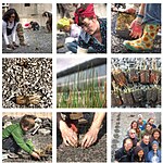 How Sustainable Architecture Reimagines Our Future-Sheet5