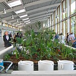 How Sustainable Architecture Reimagines Our Future-Sheet7