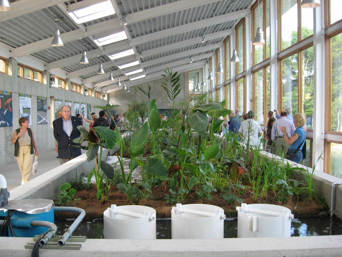 How Sustainable Architecture Reimagines Our Future-Sheet7