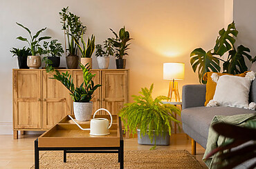 Eco-Friendly Lighting Solutions for a Sustainable Home