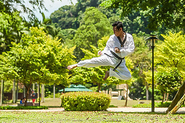 The Impact of Spatial Layout on Martial Arts Performance and Safety