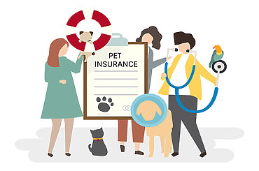 8 Essential Tips for Finding a Reliable Pet Insurance Quote