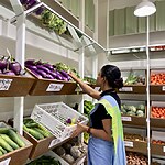 Taaza-the green grocery store by W5 Architects-Sheet4