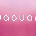 Jaguar rebrands itself-Sheet2