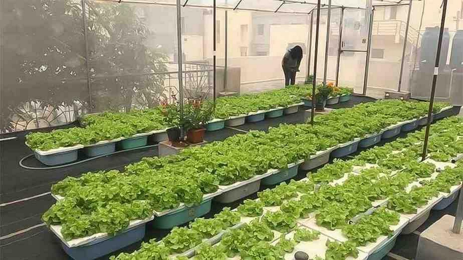 How might vertical farming and urban agriculture transform urban landscapes-Sheet1