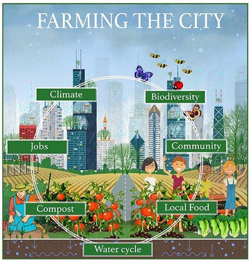 How might vertical farming and urban agriculture transform urban landscapes-Sheet2