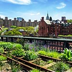 How might vertical farming and urban agriculture transform urban landscapes-Sheet3