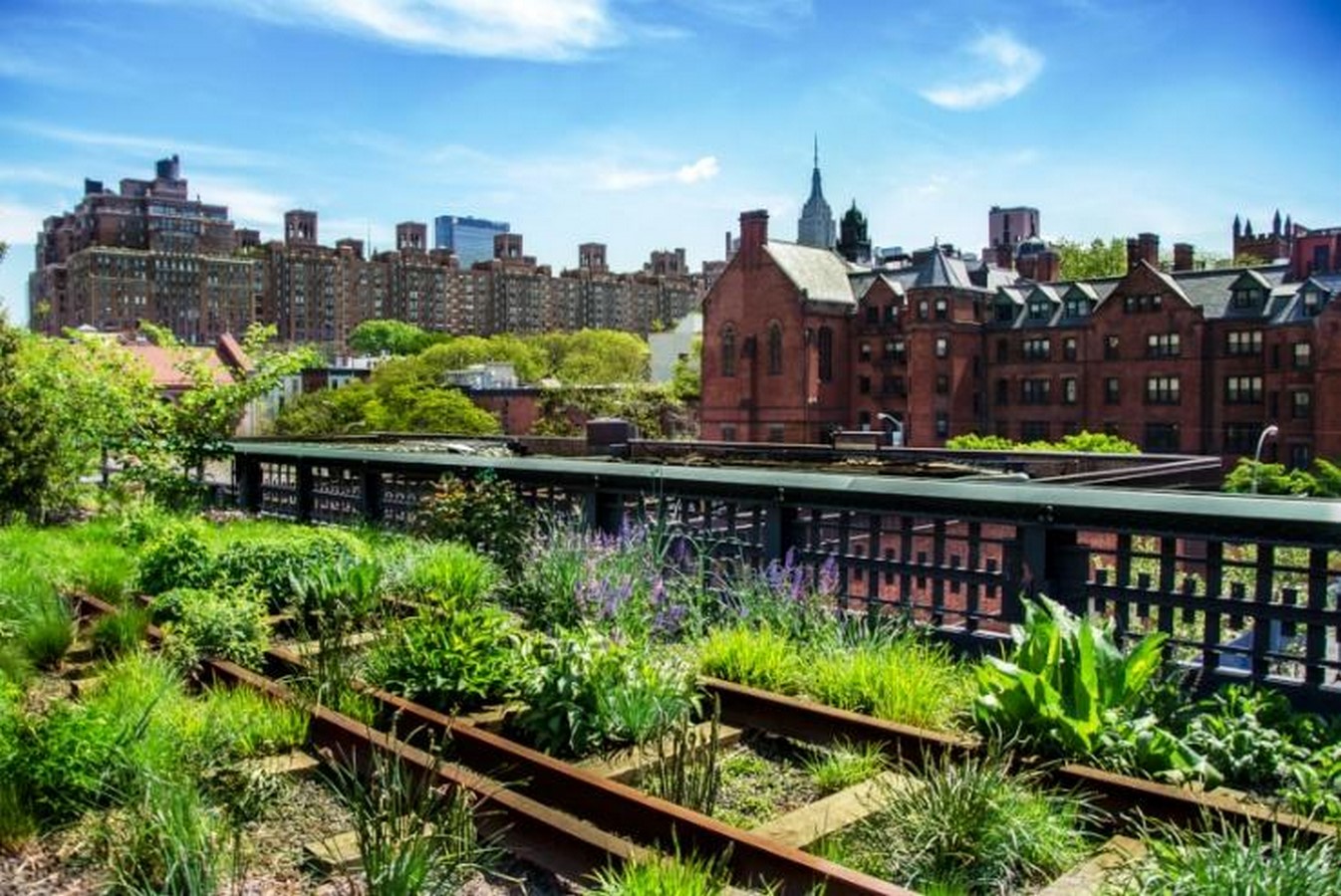 How might vertical farming and urban agriculture transform urban landscapes-Sheet3