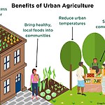 How might vertical farming and urban agriculture transform urban landscapes-Sheet4