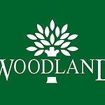 Building Brands Woodland-Sheet1
