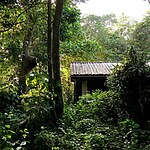 The Entebbe Forest Lodge, Uganda-Sheet3