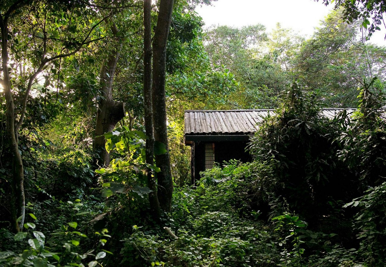 The Entebbe Forest Lodge, Uganda-Sheet3