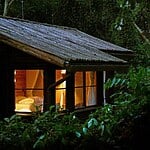 The Entebbe Forest Lodge, Uganda-Sheet4