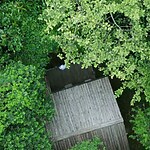 The Entebbe Forest Lodge, Uganda-Sheet7