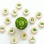 The role of environmental impact assessments in sustainable architecture projects-Sheet1