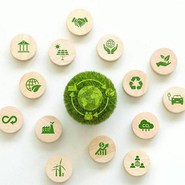 The role of environmental impact assessments in sustainable ...