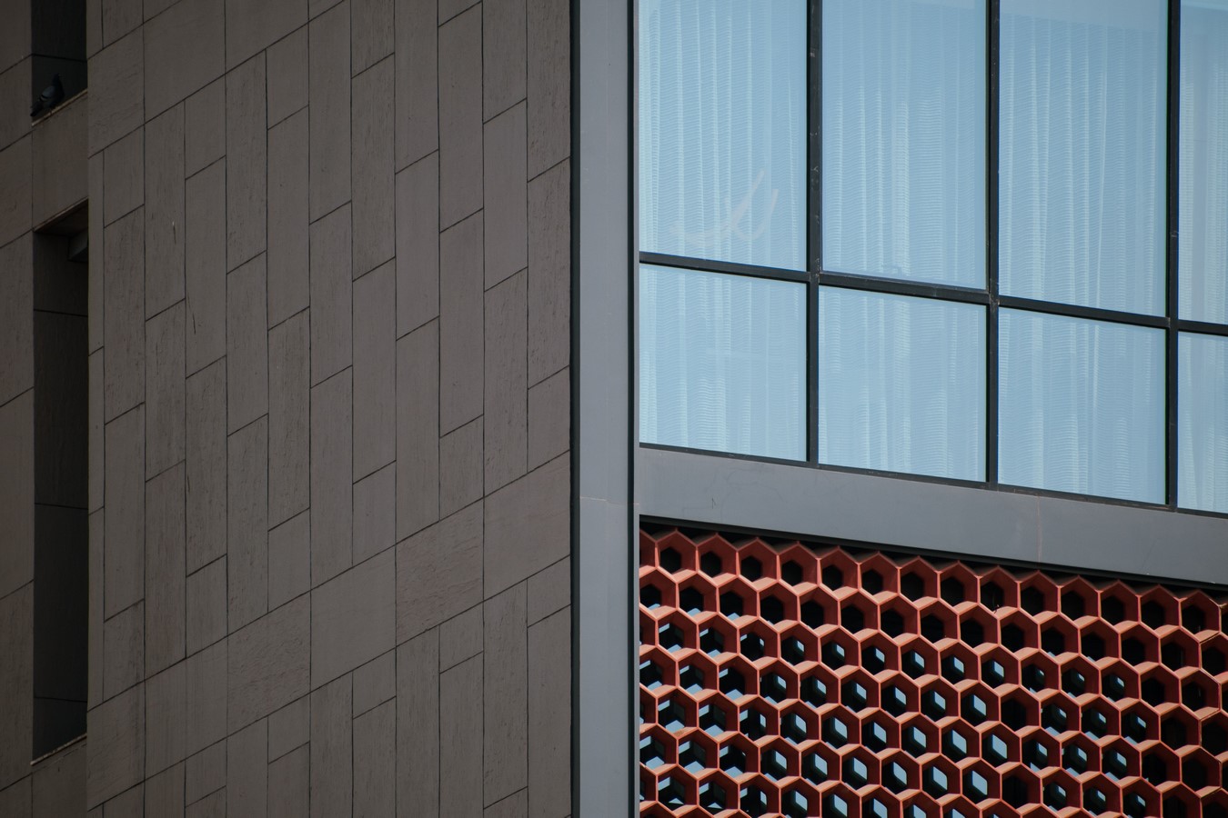 Zydus Cadila by Atelier Design N Domain Llp-Sheet3