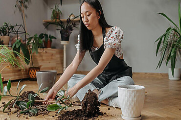 Integrating Sustainable Lawn Care in Eco-Friendly Housing Designs for a Greener Future