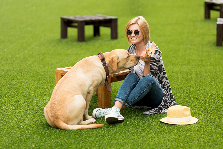 Why Pet-Friendly Synthetic Turf is the Perfect Lawn Solution for Pet Owners