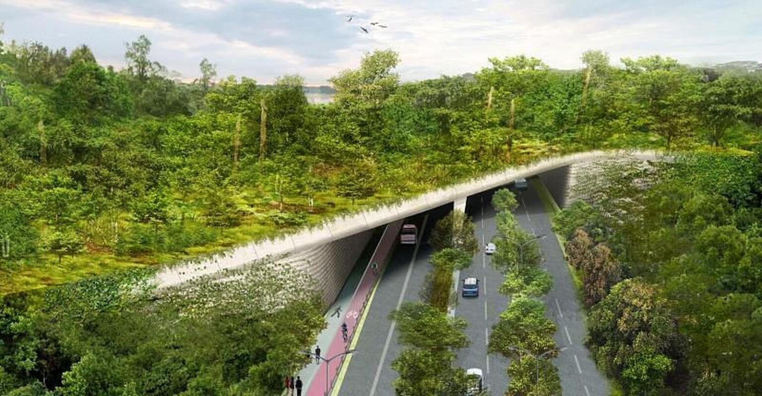 Reimagining the Future: How Sustainable Architecture Shapes a Greener ...