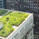 Reimagining Our Future The Role of Sustainable Architecture in Building a Greener World-Sheet8