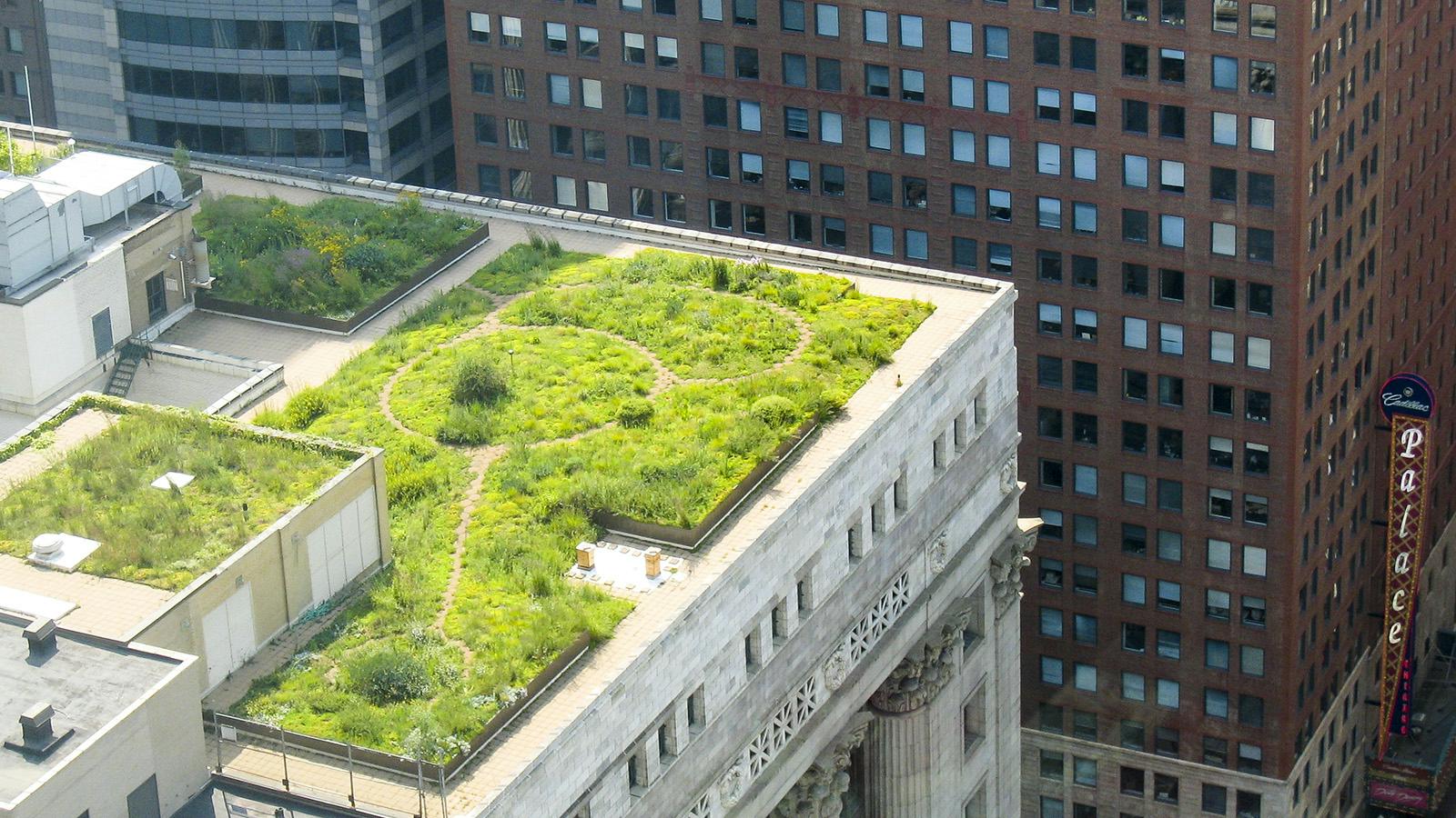 Reimagining Our Future The Role of Sustainable Architecture in Building a Greener World-Sheet8