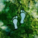 Balancing Conservation and Contemporary Needs in Heritage Sites-Sheet4