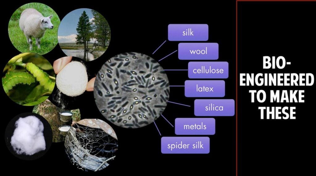 Alternative Materials: Biomaterials in Space use - RTF | Rethinking The ...