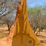 Biomimicry in architecture-Sheet1