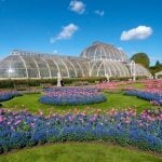 Historic Glasshouse at Kew Gardens, London-Sheet1