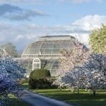 Historic Glasshouse at Kew Gardens, London-Sheet10
