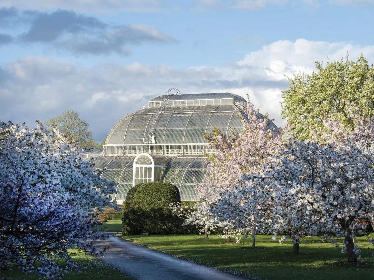 Historic Glasshouse at Kew Gardens, London-Sheet10
