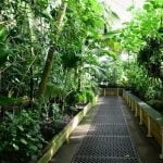 Historic Glasshouse at Kew Gardens, London-Sheet11