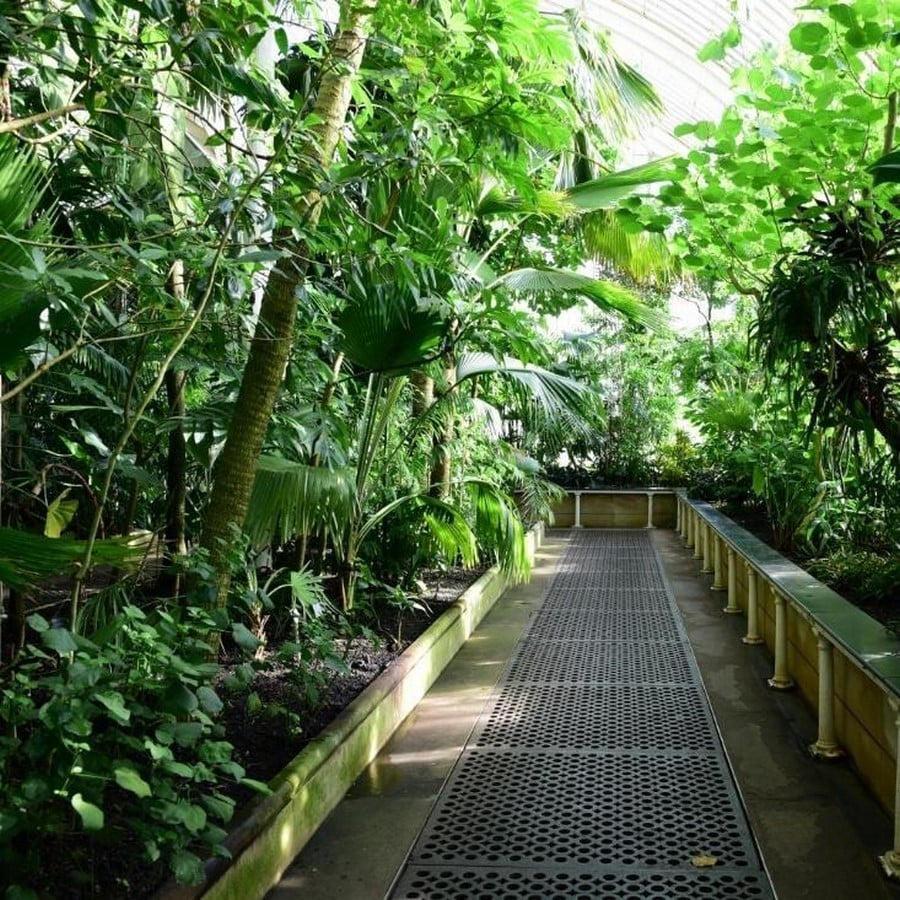 Historic Glasshouse at Kew Gardens, London-Sheet11
