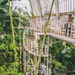 Historic Glasshouse at Kew Gardens, London-Sheet13